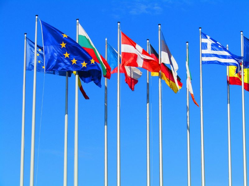 drapeaux européens flottant devant une institution