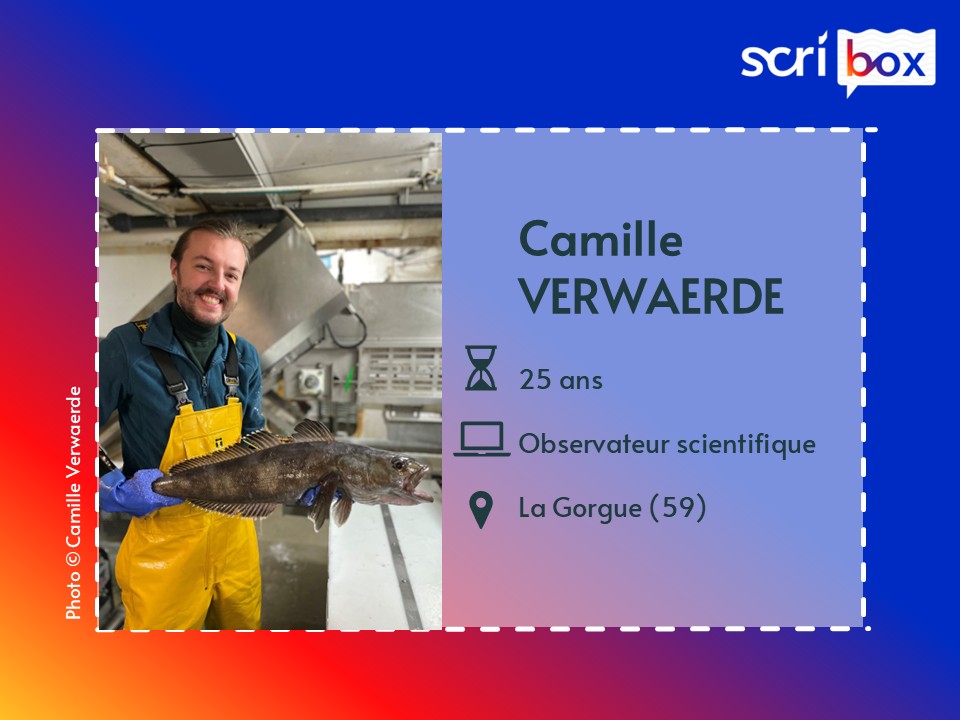 Camille Verwaerde observateur scientifique maritime - carte identité