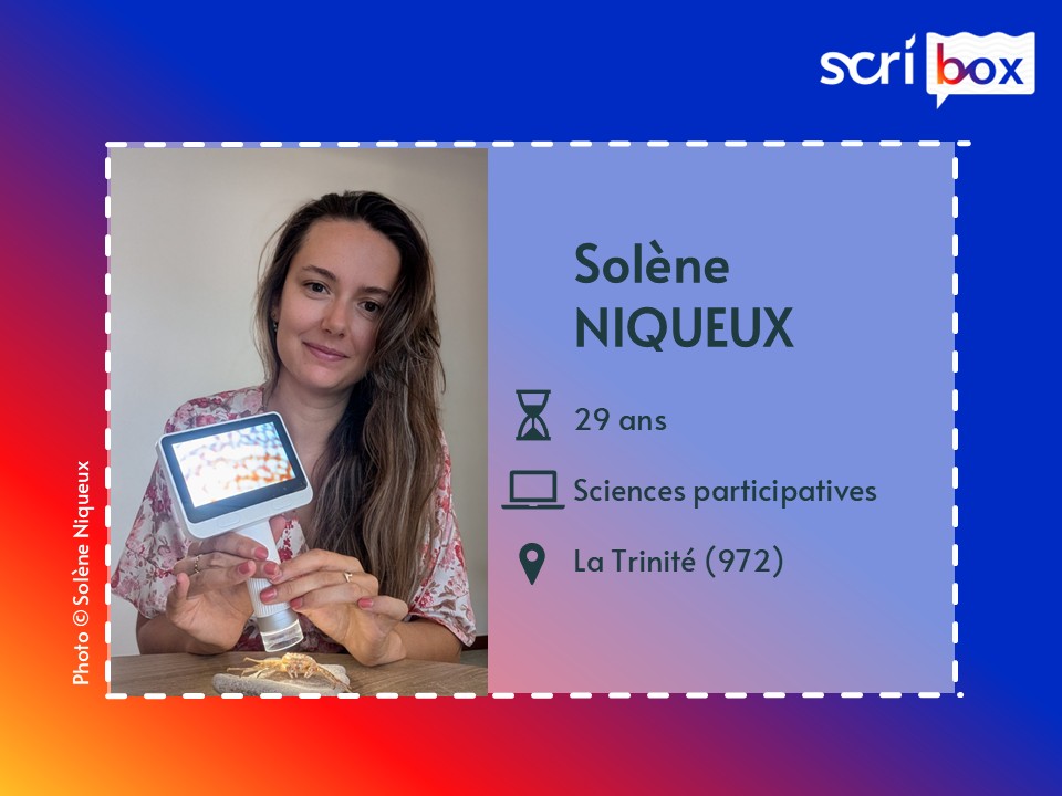 Solène Niqueux sciences marines participatives carte d'identité